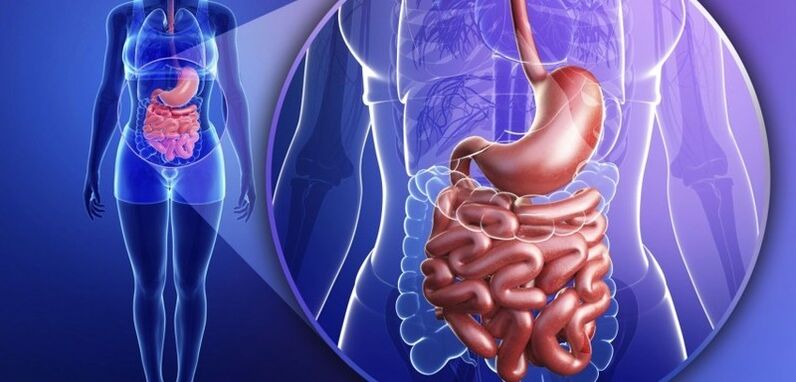 De GastroinTestinal Trakt ass mënschlech