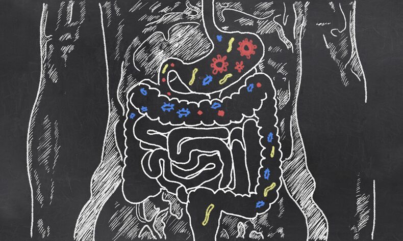 Parasiten am GastroinTestinal Trakt vun enger Persoun