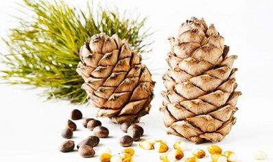 Cedar Nëss fir Parasiten aus dem Kierper ze läschen